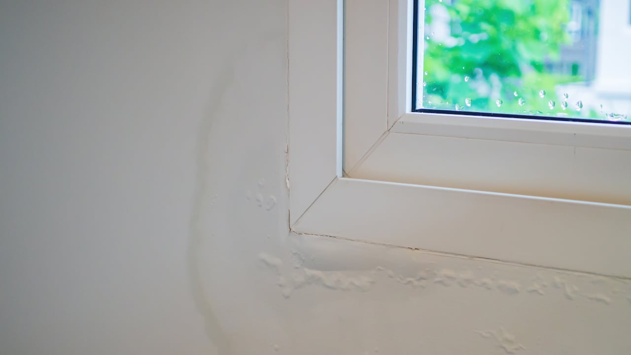 Humedad en casas