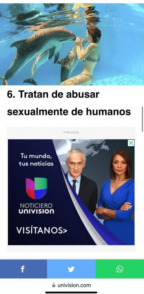 El artículo sobre delfines del portal Univisión