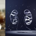 Las propiedades de la avena aportan grandes nutrientes al organismo y entre los beneficiados están los riñones.