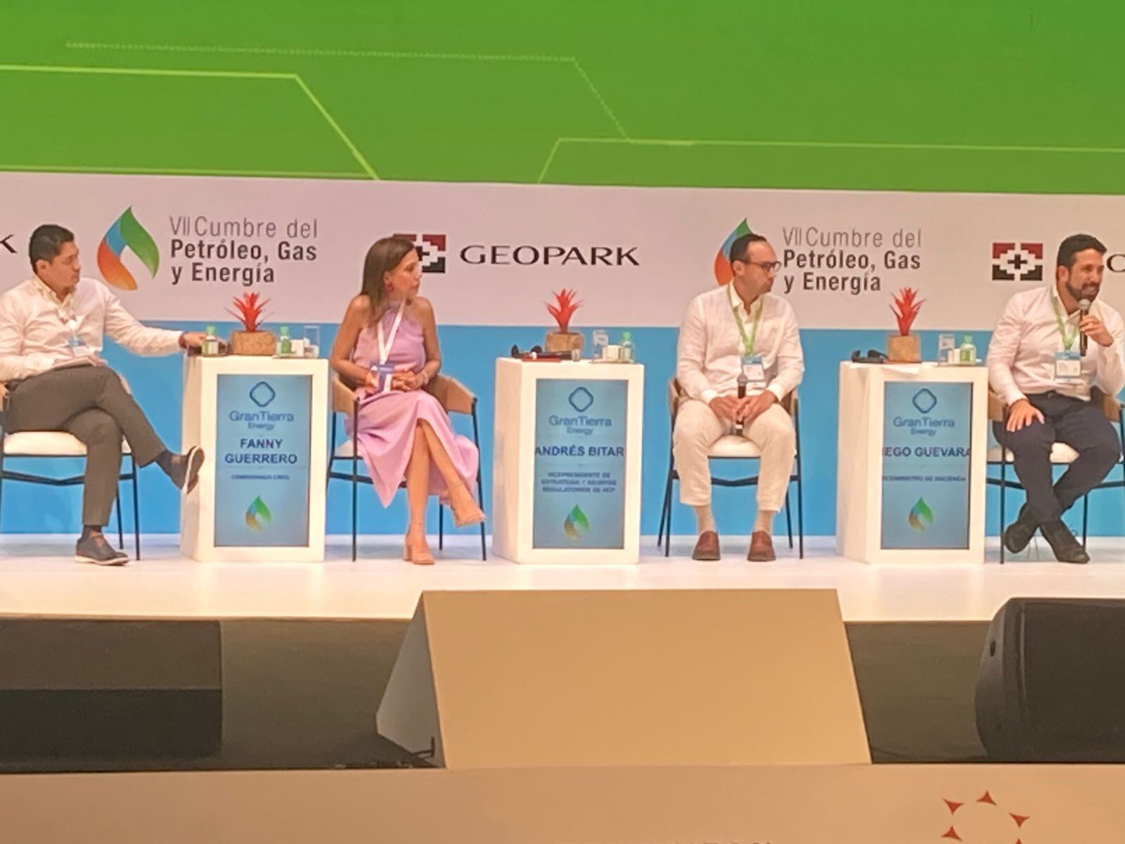 Así está la regulación en Colombia, según Fanny Guerrero Maya, comisionada de la Comisión de Regulación de Energía y Gas (CREG).