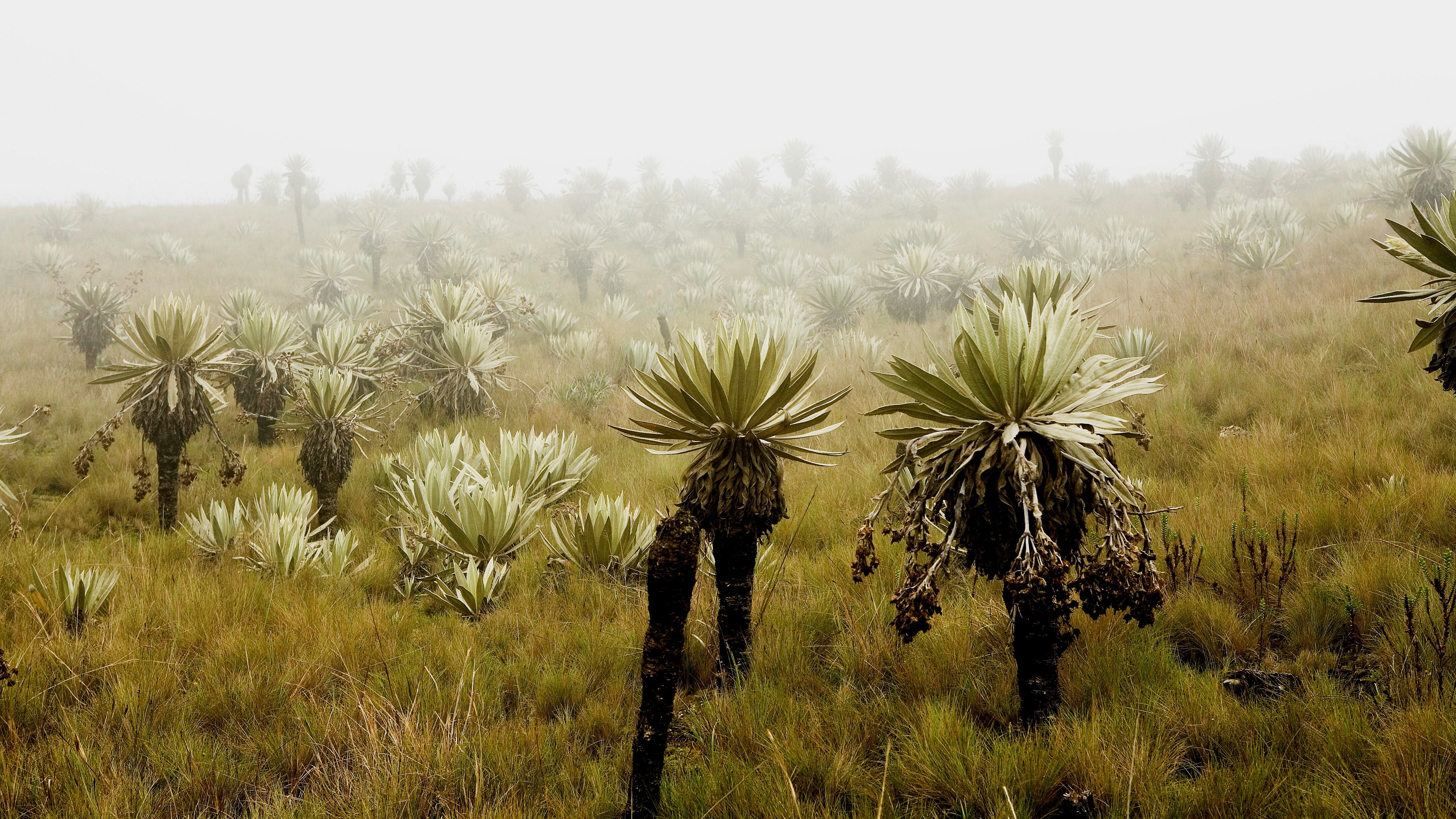 NO USAR, USO EXCLUSIVO MEJOR COLOMBIA, Especial Soacha, Turismo Sumapaz