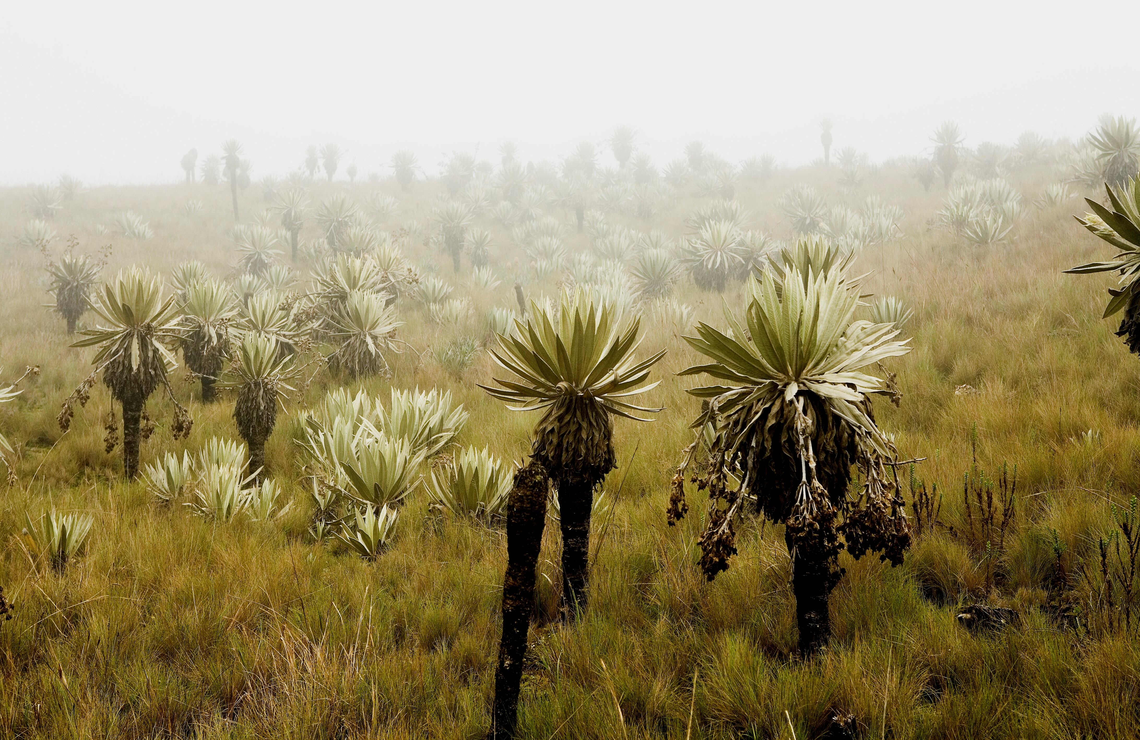 NO USAR, USO EXCLUSIVO MEJOR COLOMBIA, Especial Soacha, Turismo Sumapaz