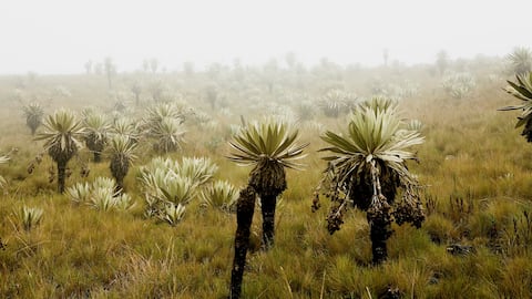 NO USAR, USO EXCLUSIVO MEJOR COLOMBIA, Especial Soacha, Turismo Sumapaz