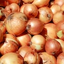 Alimento que contiene la mayor composición de agua. Foto: Getty Images