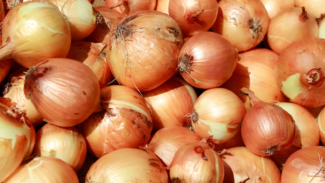 Las propiedades de la cebolla la convierten en un aliado para tratar afecciones como la gripe. Foto: Getty Images