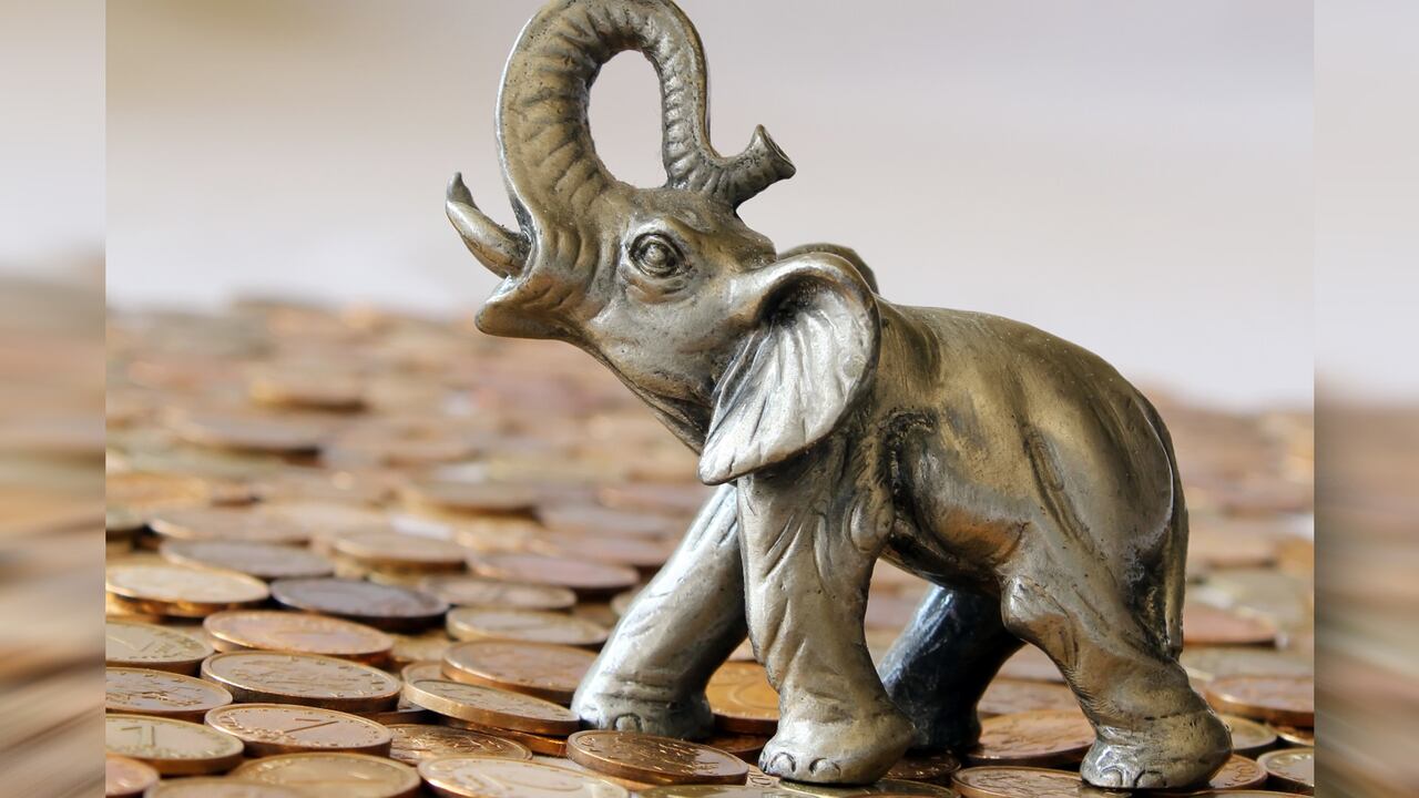 El elefante de la suerte no es solo un adorno encantador; es un símbolo poderoso en el mundo del Feng Shui.