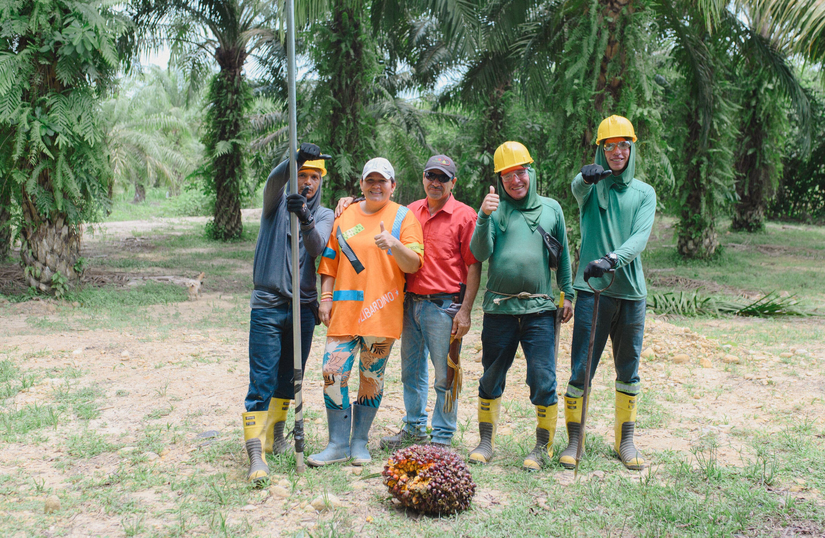 OLEOFLORES - 5.000 Empresas