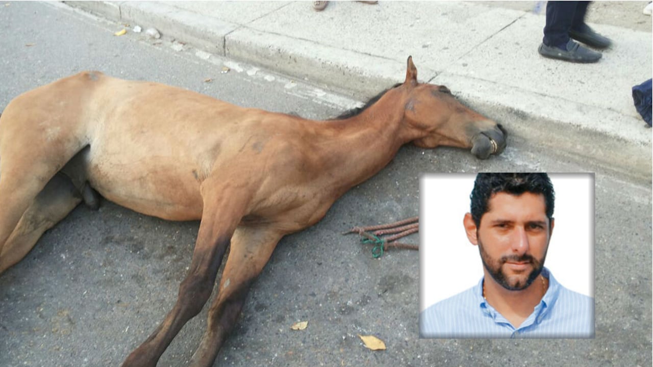 Procuraduría toma medidas contra alcalde de Cartagena, Dionisio Vélez.