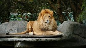 Bioparque Wakata / parque Jaime Duque