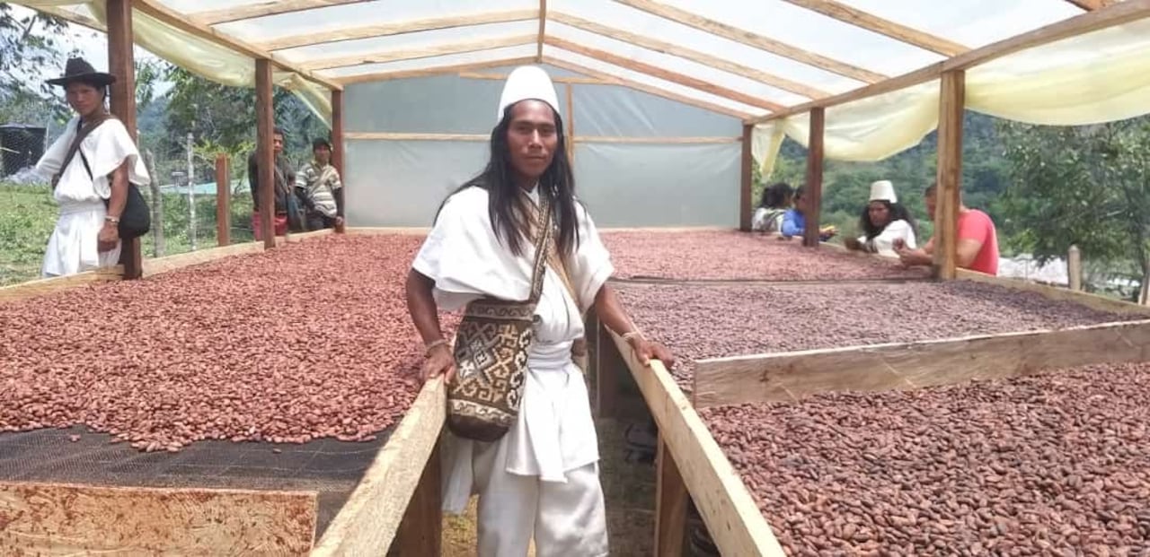 Productores Sierra Nevada de Santa Marta.