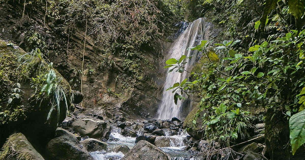 En la Serranía de Las Quinchas se desarrollan proyectos de ecoturismo.