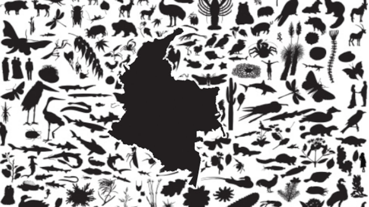 Colombia es el país con más especies de orquídeas y de aves.