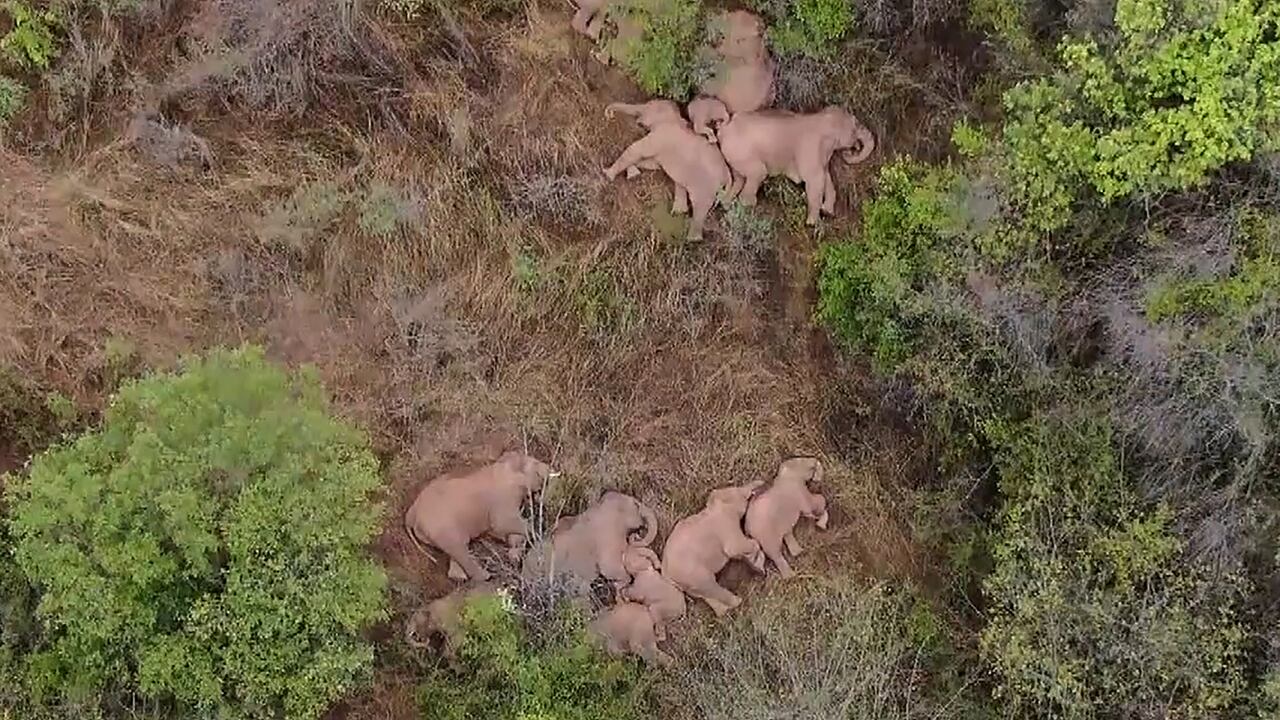 (Photo by - / CCTV / AFP) / China OUT / RESTRICTED TO EDITORIAL USE - MANDATORY CREDIT "AFP PHOTO / CHINA CENTRAL TELEVISION (CCTV) " - NO MARKETING NO ADVERTISING CAMPAIGNS