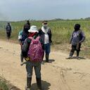 Indígenas y afros se han enfrentado en varias ocasiones por las invasiones a los terrenos sembrados con caña de azúcar.