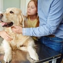 Propietarias llevando su mascota a la veterinaria