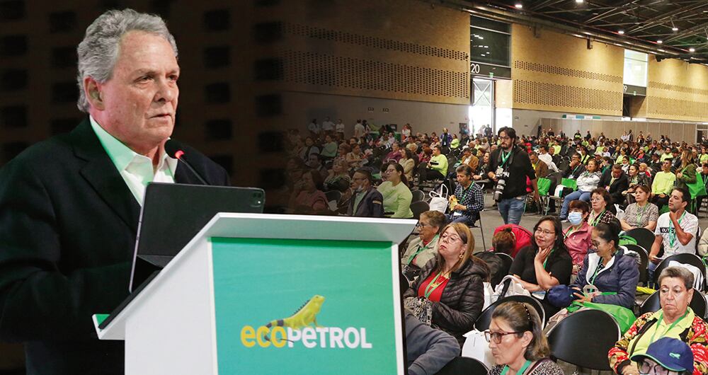 Juan José Echavarría, quien se venía desempeñado como presidente del comité de gobierno corporativo de Ecopetrol, al presentar su informe dijo que había “serias dudas de que ese grupo (los nuevos integrantes del equipo directivo) tenga las características necesarias para cumplir con la política que se nos encarga en la junta”.