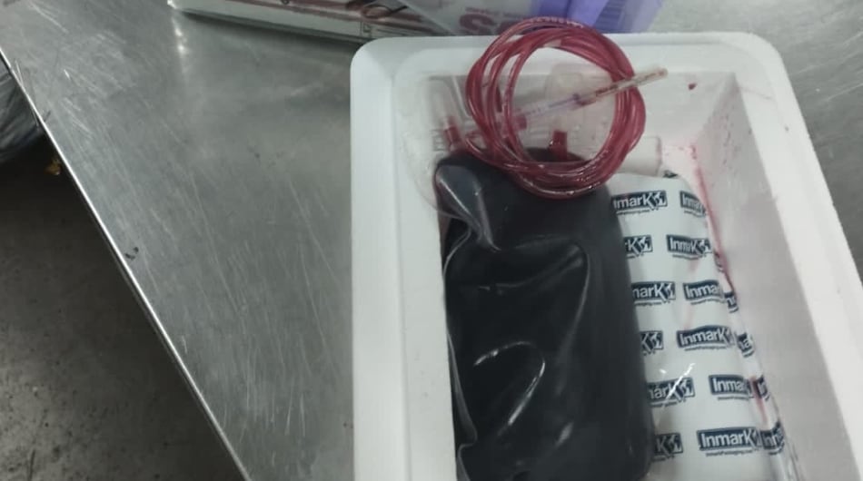 La sangre tenía como destino Europa.