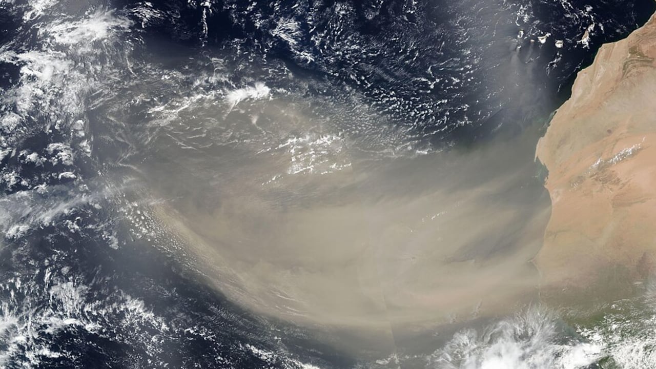 La nube de polvo del Sahara comenzó a desplazarse por Florida y continuará avanzando hacia la costa del Golfo.