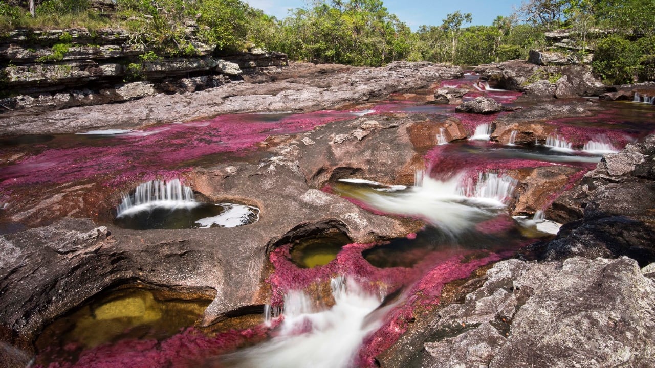 El segundo semestre del año es el mejor momento para visitar Caño Cristales, pues el cauce del río crece y las plantas que le dan color agua resplandecen.