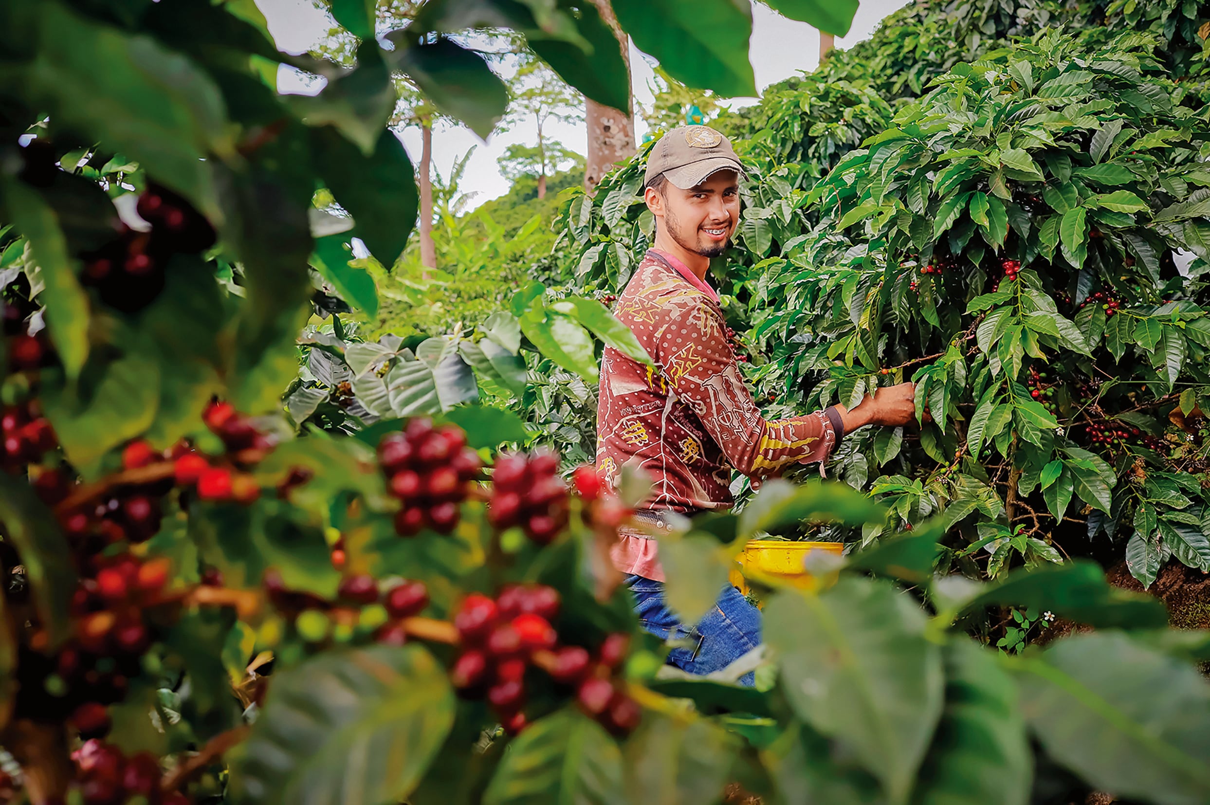 Turismo por Colombia.
