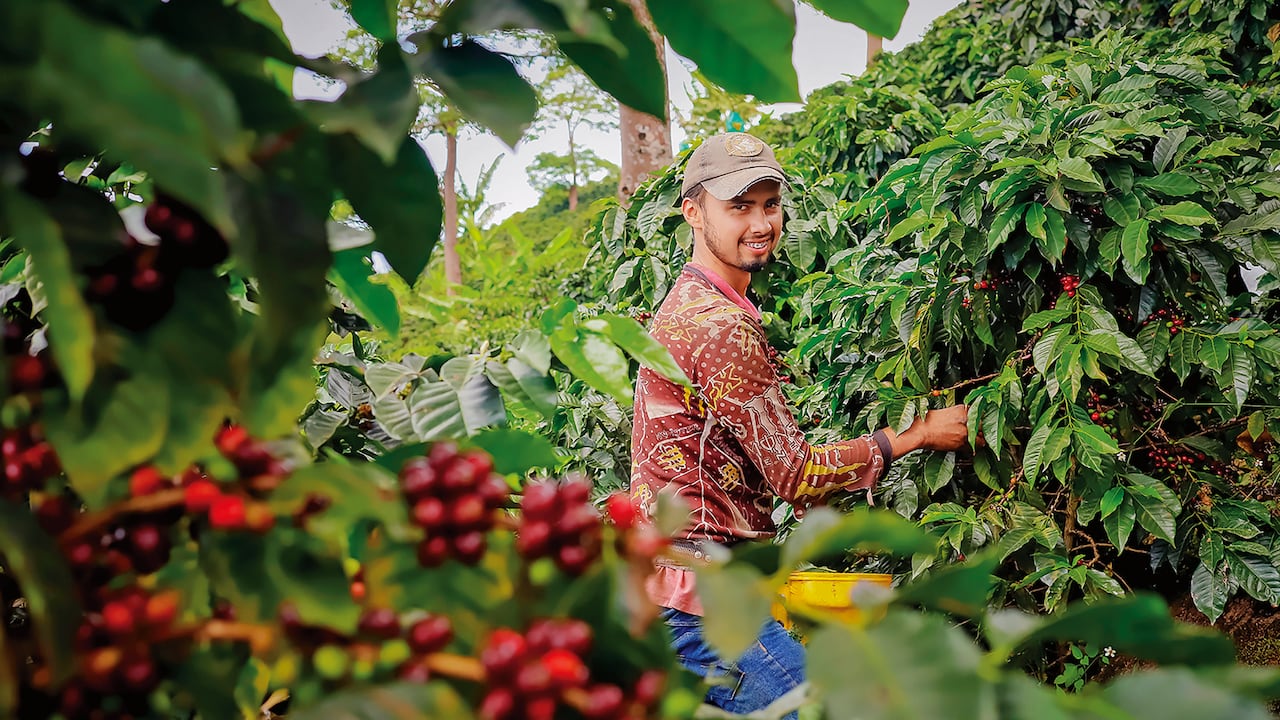Entre los atractivos turísticos del Huila destaca su oferta gastronómica, caracterizándose por la producción de café especial y sus derivados.