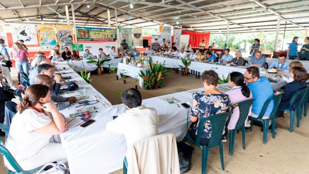 El Consejo de Seguridad de la ONU reitera su compromiso con la paz en Colombia