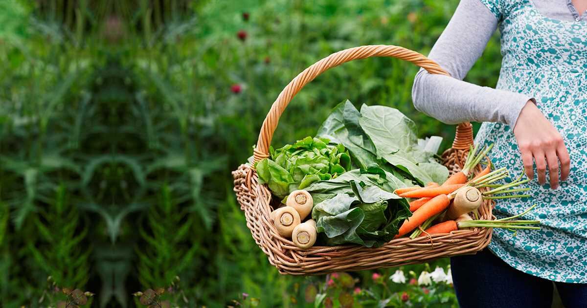 Tener para alimentarse, lo que más importa