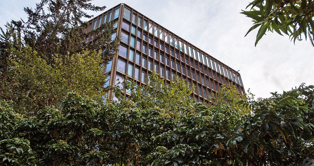 Congreso, sin muchos títulos_4