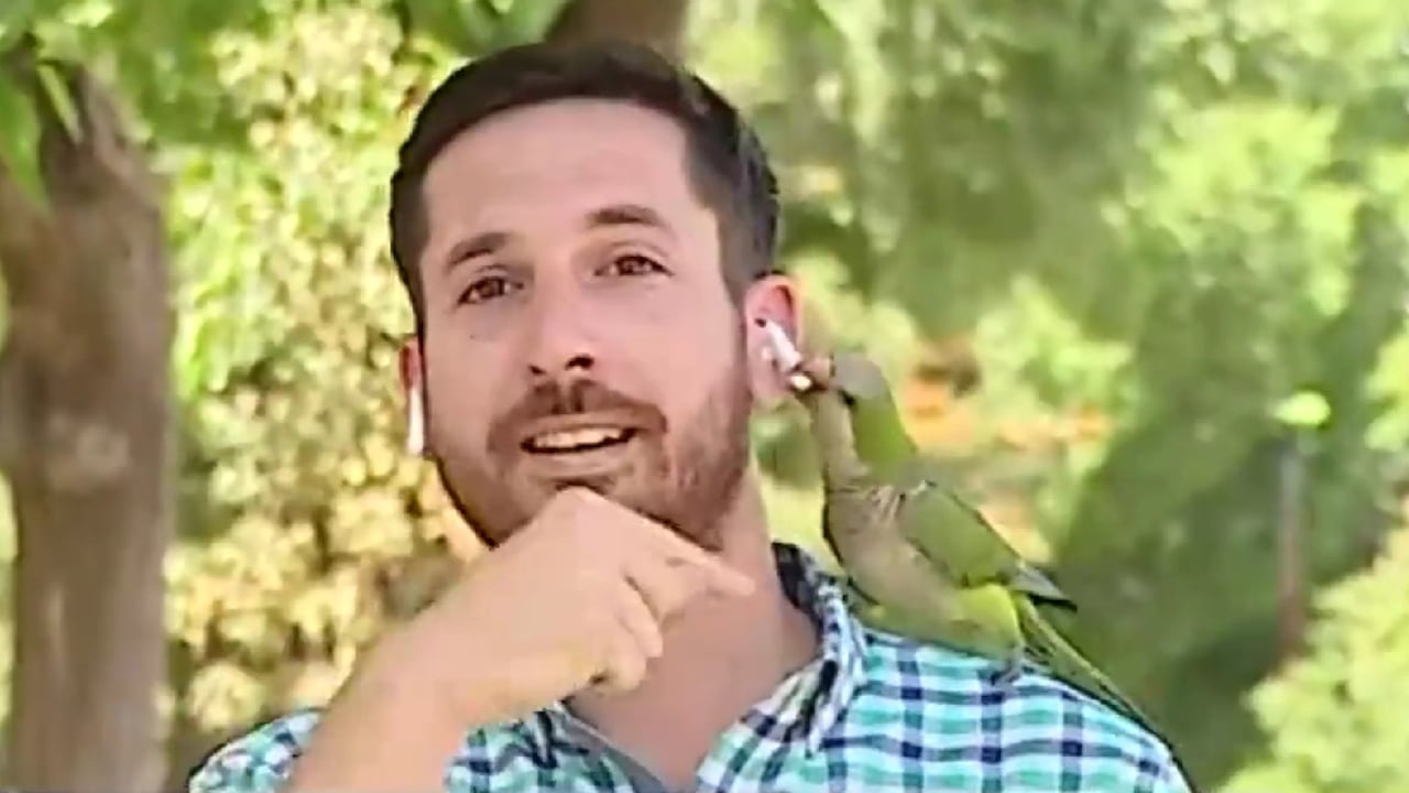 El periodista chileno contó que, después de unos minutos, logró recuperar su dispositivo.