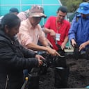 Los viveros comunitarios desarrollados en páramos son clave para restaurar estos ecosistemas.