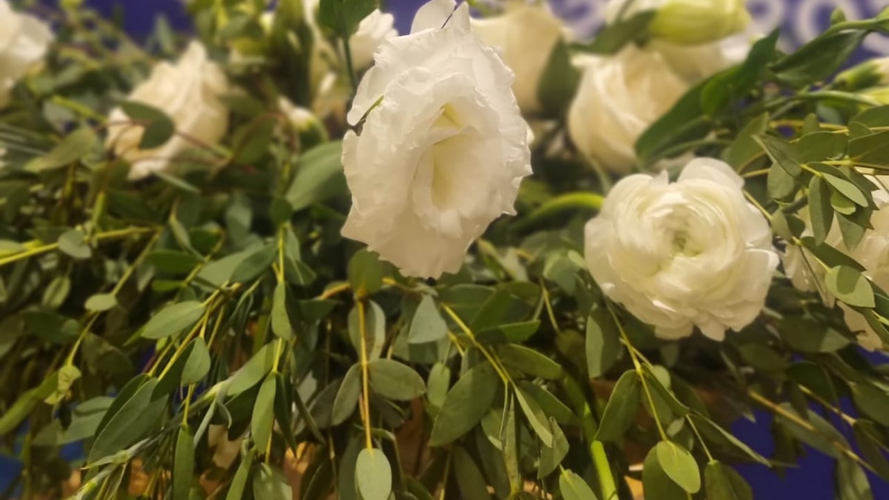 Las flores fueron dispuestas tanto en los hoteles donde se alojan los invitados como en los salones destinados a reuniones bilaterales.
