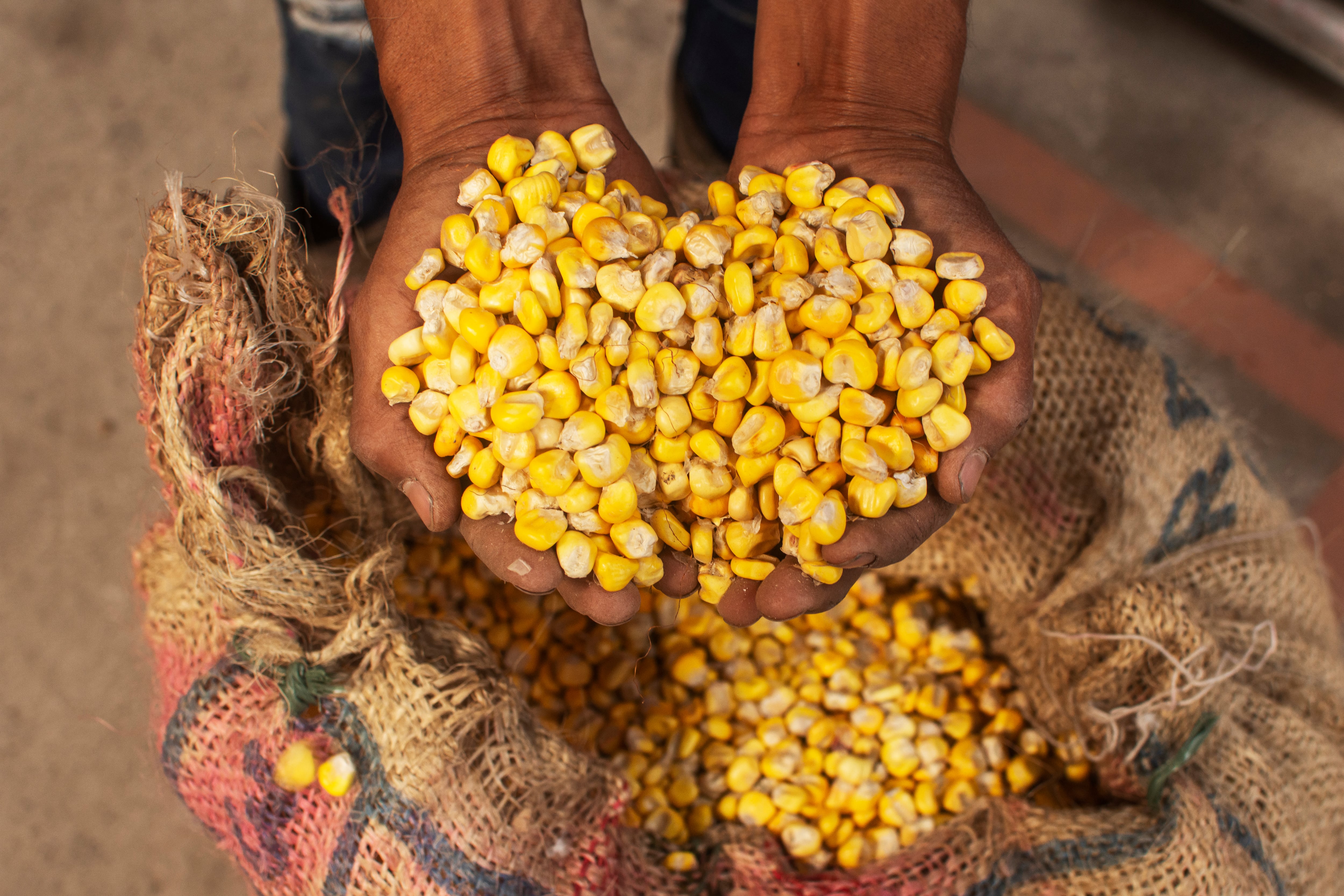 Corabastos es la Central de Abastos más grande de todo el país.