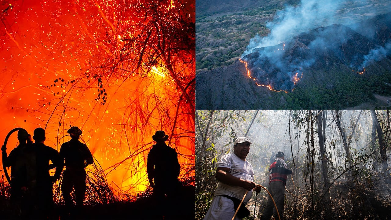 Emergencia de gran magnitud por los incendios que se presentan en Tolima