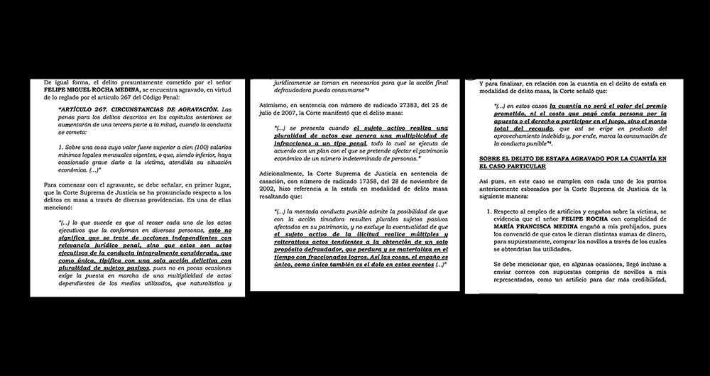 En las denuncias se hacen señalamientos muy fuertes en contra de Felipe Rocha Medina y de su madre, María Francisca Medina de Rocha, quien ahora es calificada como cómplice.