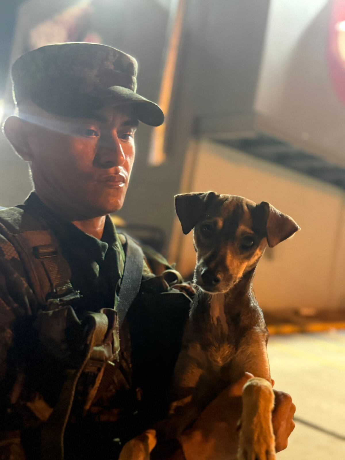 Bautizado por su historia en el agua, el perro tendrá una nueva vida lejos de la zona inundada.