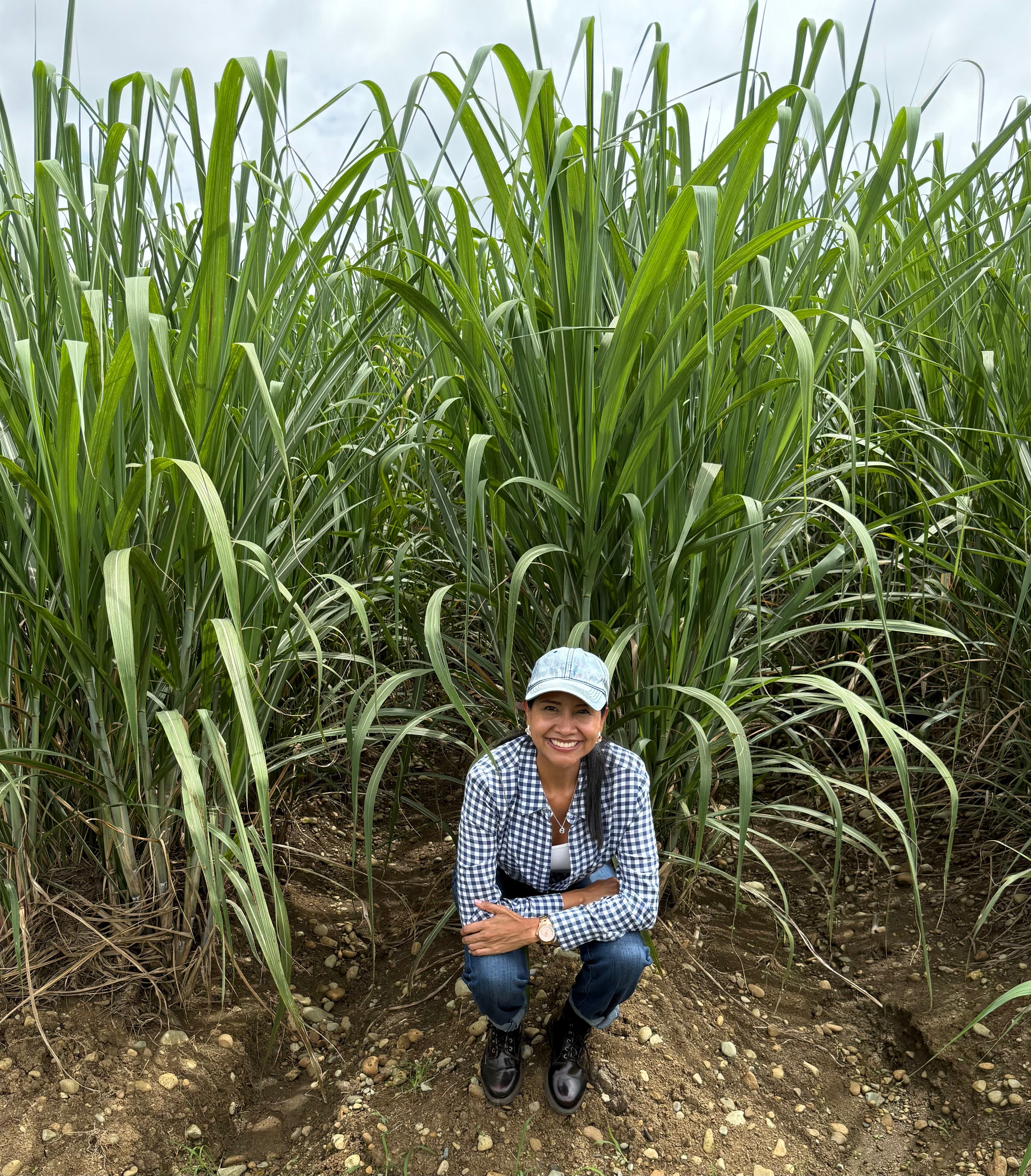 En 2022 Valderrama fue reconocida por 3M como una de las 25 científicas más influyentes de América Latina