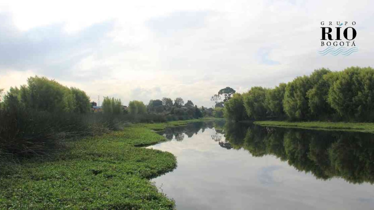 Defensores del humedal La Vaca de la localidad de Kennedy Foto: Nicolás Acevedo Ortiz