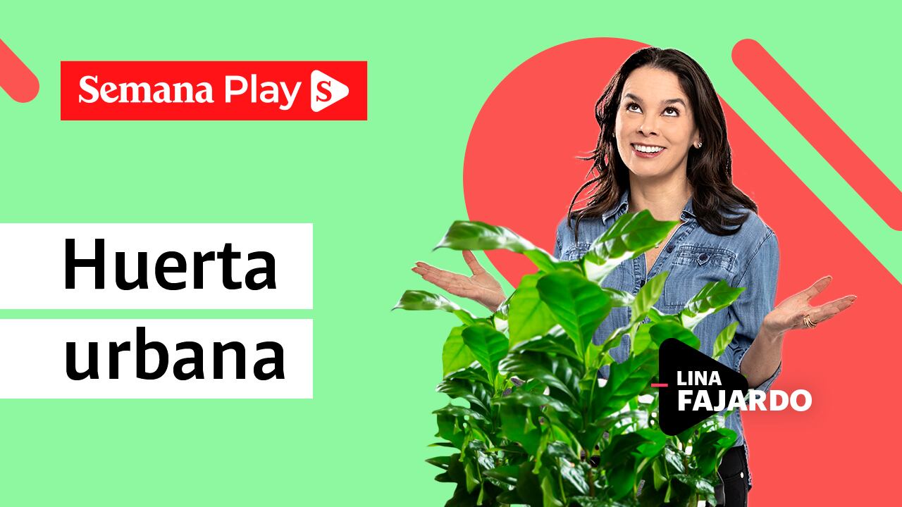 Huerta urbana | Lina Fajardo en La Magia del Orden