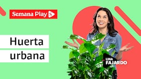 Huerta urbana | Lina Fajardo en La Magia del Orden