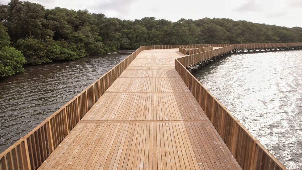 La habilitación del Ecoparque ciénaga de Mallorquín consolida a Barranquilla como una Biodiverciudad.