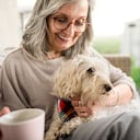 Nuevo programa en Bogotá que involucra perros rescatados y adultos mayores.