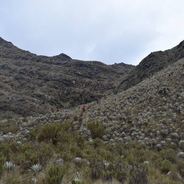 Sumapaz: del cielo a la tierra