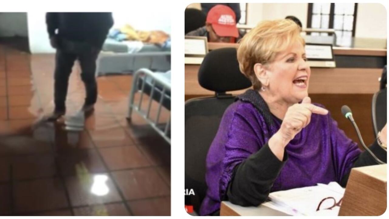 La concejal, María Victoria Vargas, denunció la mala situación por la que atraviesan los pacientes con problemas de Salud Mental en Bogotá.