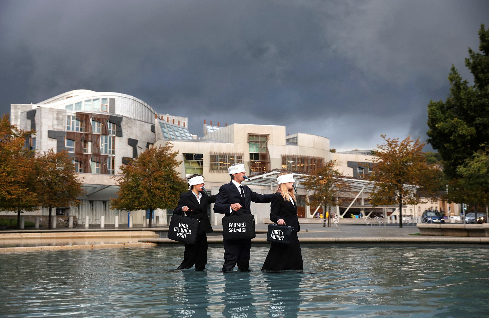 Fotos de la semana 7 octubre