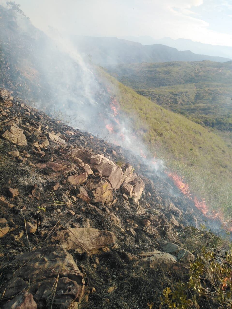 Las autoridades lograron apagar el fuego.