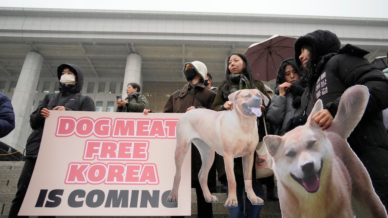 Activistas por los derechos de los animales asisten a una manifestación de protesta en apoyo al proyecto de ley de prohibición de la carne de perro liderado por el gobierno en la Asamblea Nacional en Seúl, Corea del Sur, el martes 9 de enero de 2024. El parlamento de Corea del Sur aprobó el martes una prohibición histórica sobre la producción y venta de carne de perro. , a medida que los llamados públicos a favor de una prohibición han aumentado considerablemente debido a las preocupaciones sobre los derechos de los animales y la imagen internacional del país. (Foto AP/Ahn Young-joon)