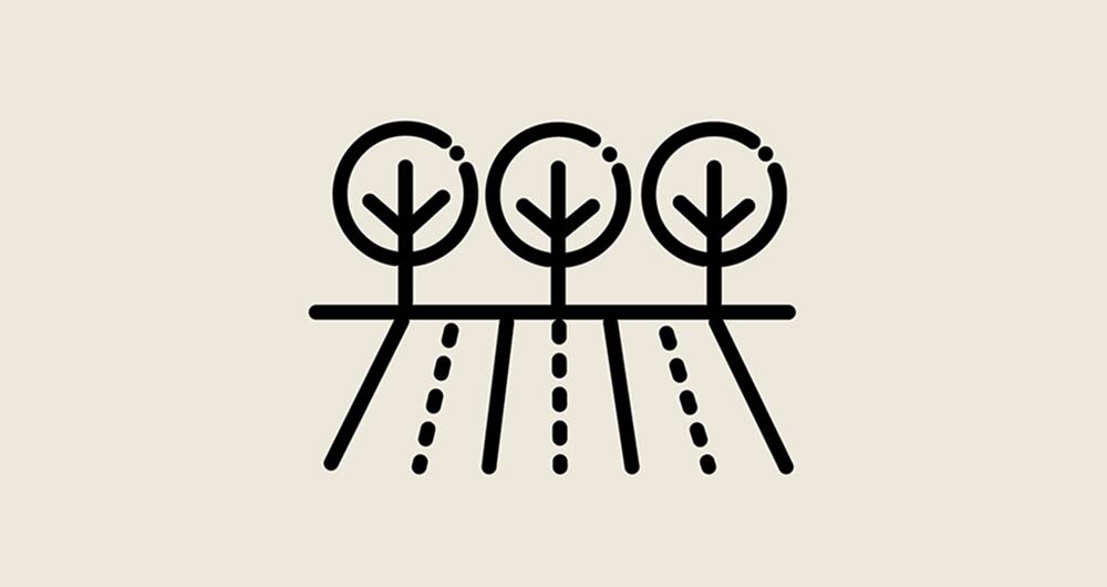 Daños colaterales_2