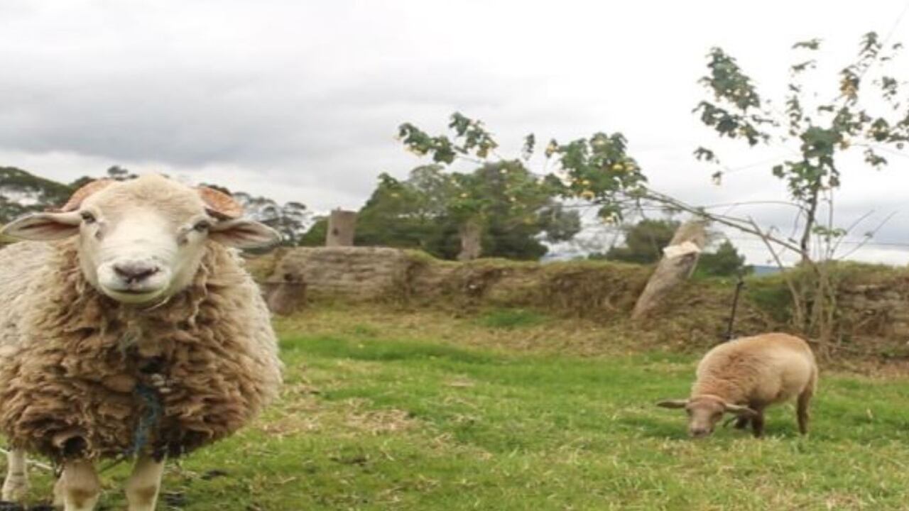 Gachancipá, Cundinamarca