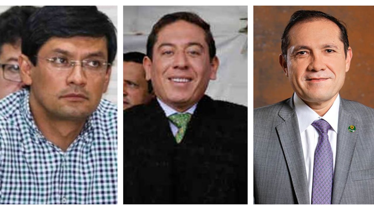 Candidatos Verde