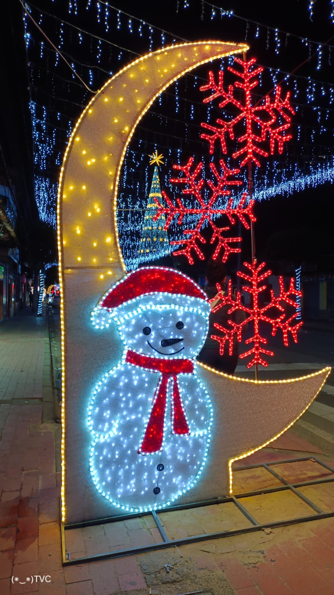 Alumbrado navideño en Cota, Cundinamarca